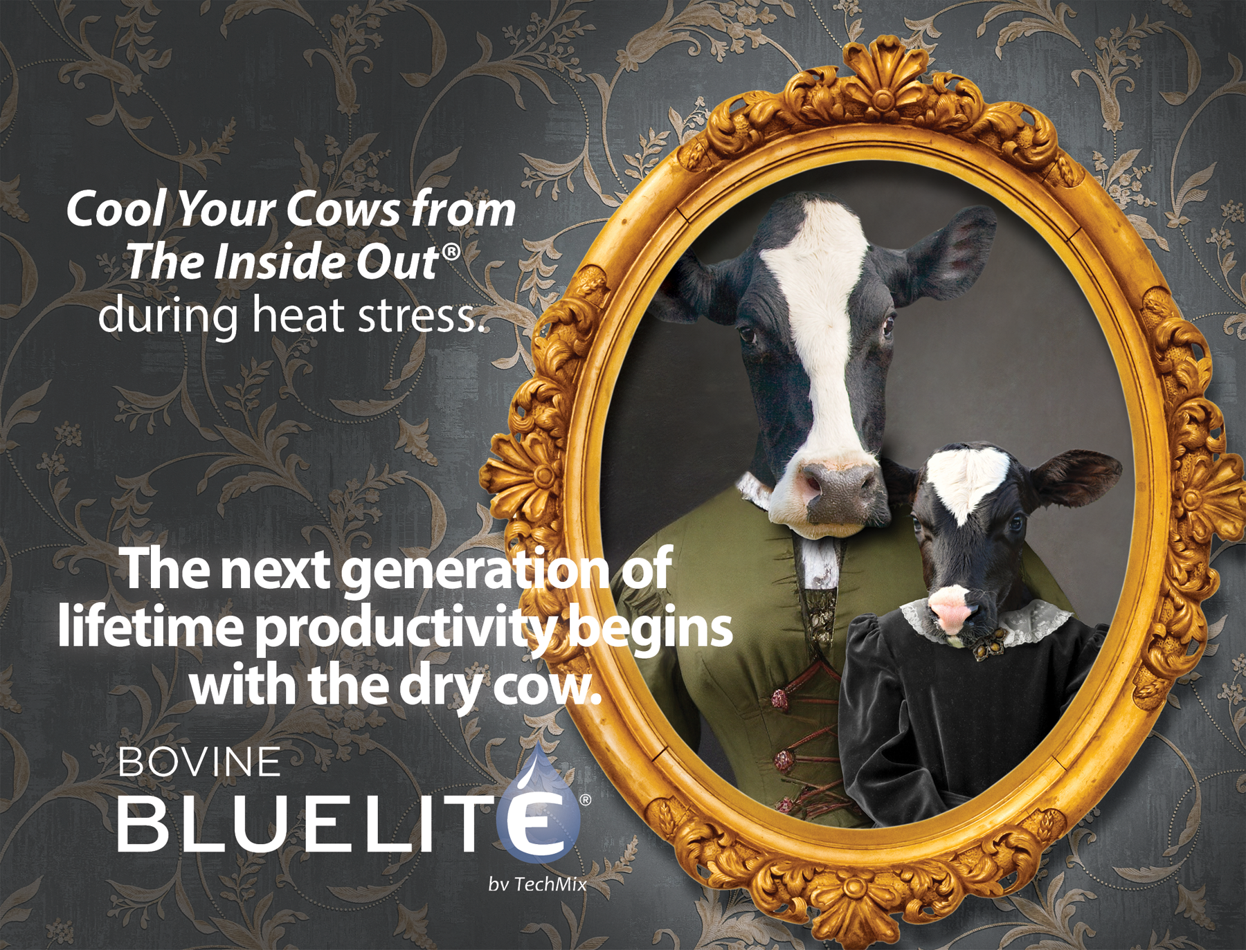 Cool your cows from the inside out during heat stress