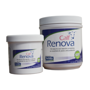 Calf Renova for Beef Calves