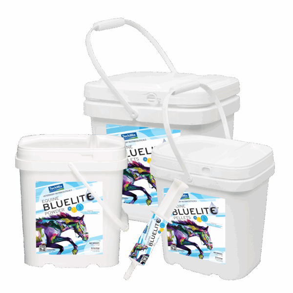 Equine BlueLite® | Effective electrolyte for horses | TechMix