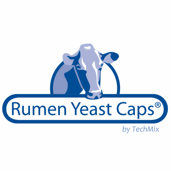 Rumen Yeast Caps for beef - Image 2