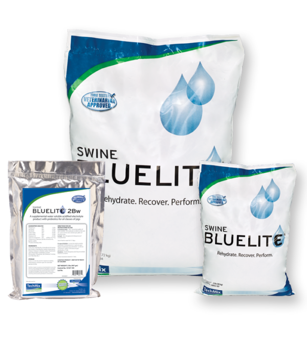 Swine BlueLite®