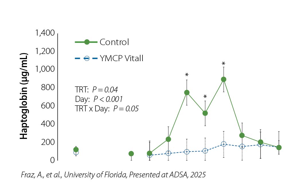 haptoglobin YMCP graphic