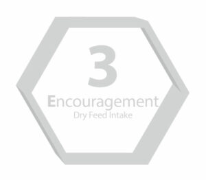 3E graphic number 3 with Encouragement dry feed intake