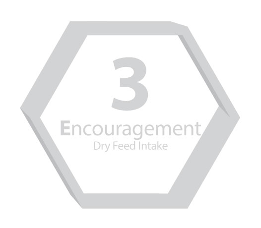 3E graphic number 3 with Encouragement dry feed intake