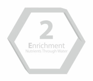 3E graphic number 2 for Enrichment nutrients through water