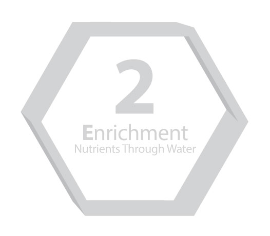 3E graphic number 2 for Enrichment nutrients through water