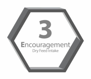 3E graphic number 3 with Encouragement dry feed intake