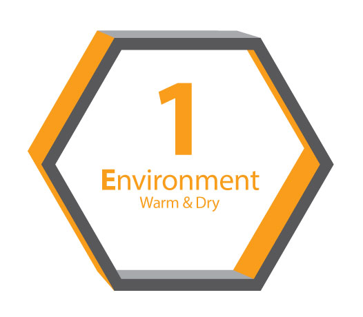 Environment icon