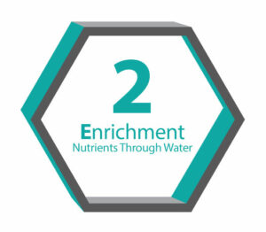 3E graphic number 2 for Enrichment nutrients through water
