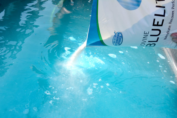 Photo of the contents of a bag of Bovine BlueLite® electrolyte being added to a water tank