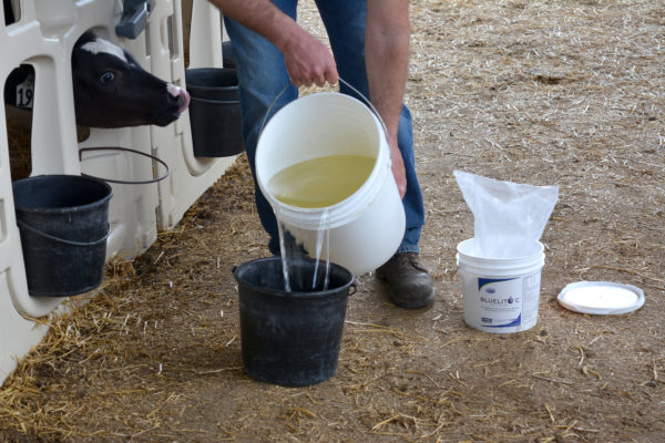 Photo of Liquid BlueLite C for Calves being poured into a pail