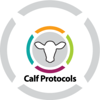 Calf Protocols logo