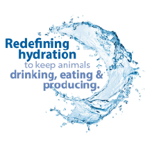 Splashing water graphic that says Redefining hydration to keep animals drinking, eating & producing