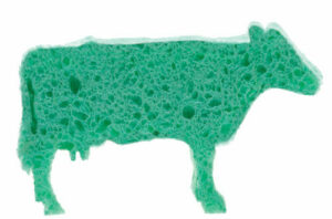 Photo of a TechMix cow-shaped sponge