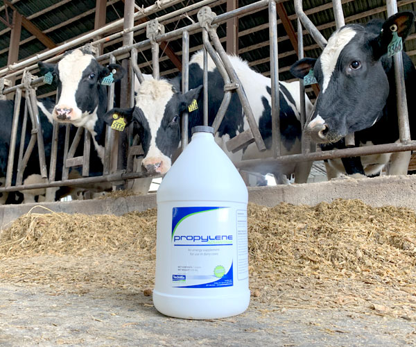 Photo of a bottle of Propylene Advantage in front of several Holstein cows