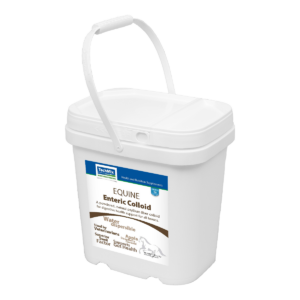 Photo of a pail of Equine Enteric Colloid supplement