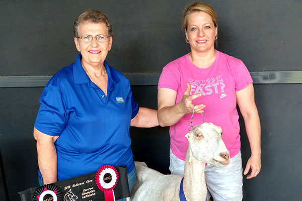 Photo of J Haven LaManchas with her goat and receiving an award