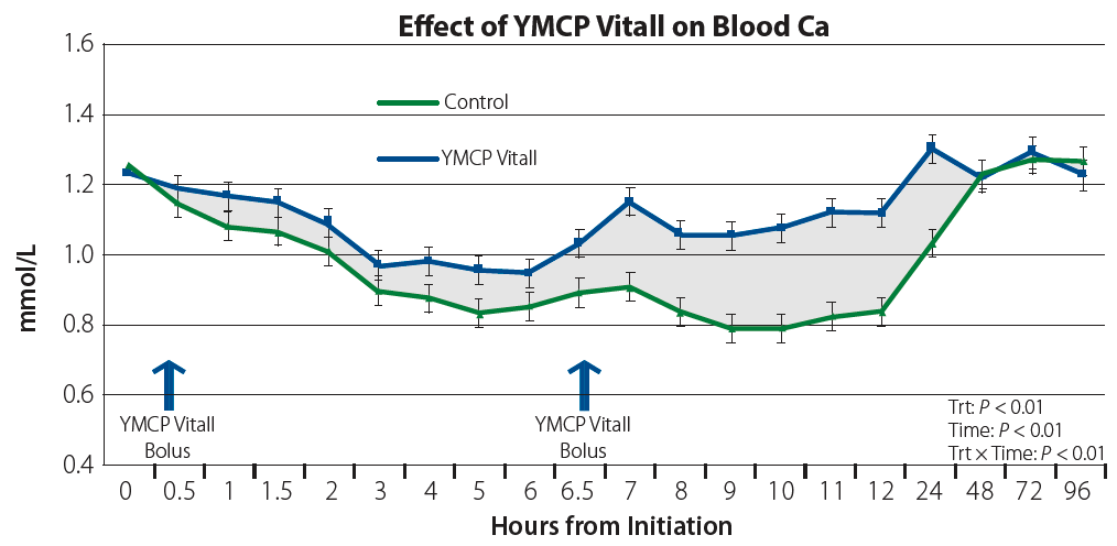 Effect of YMCP Vitall on Blood Ca graph