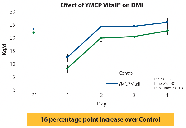 Effect of YMCP Vitall on DMI Graph