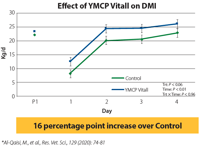 Effect of YMCP Vitall on DMI graph