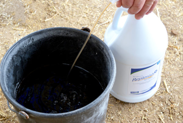 Photo of BlueLite Replenish M being pumped from its bottle into a pail