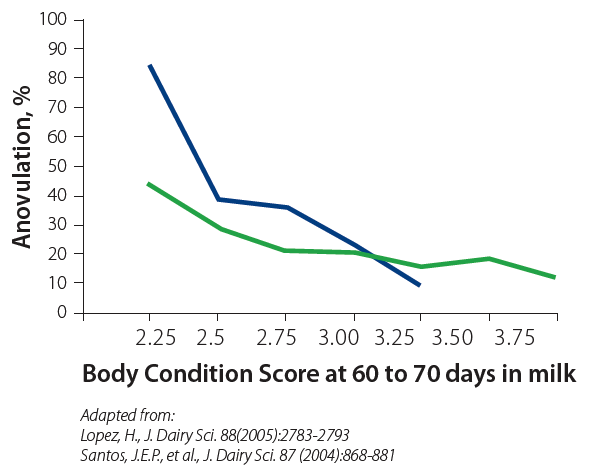 Body Condition Score Graph