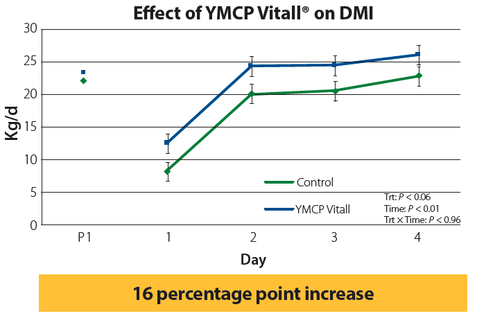 Graph displaying effect of YMCP Vitall on DMI