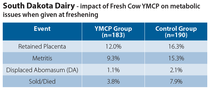 South Dakota Dairy Impact of Fresh Cow YMCP on metabolic issues when given at freshening table