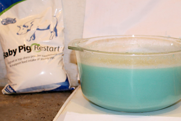 Photo of a bag of Baby Pig Restart® for young pigs and some mixed into a bowl for use