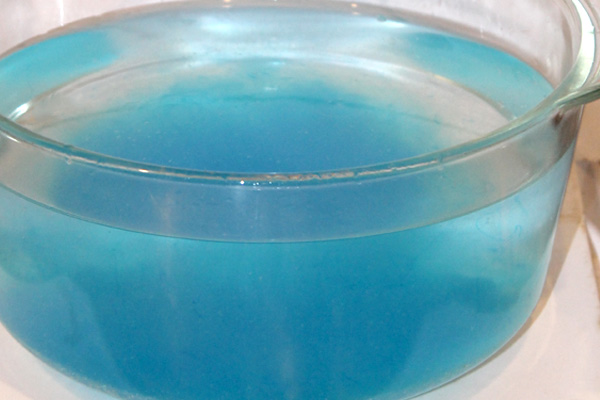 Photo of Swine BlueLite in a glass bowl