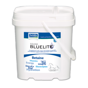 Photo of a pail of Equine BlueLite® supplement for horses