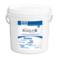 Photo of Equine BlueLite pail